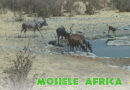 Mosiele Africa #49