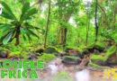 Mosiele Africa #52 – Projekt Madagaskar 2026