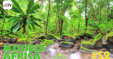 Mosiele Africa #52 – Projekt Madagaskar 2026
