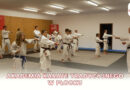 Akademia Karate Tradycyjnego w Płocku