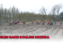 ORLEN sadzi kolejne drzewa