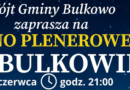Kino plenerowe w Bulkowie. Mieszkańcy wybiorą film